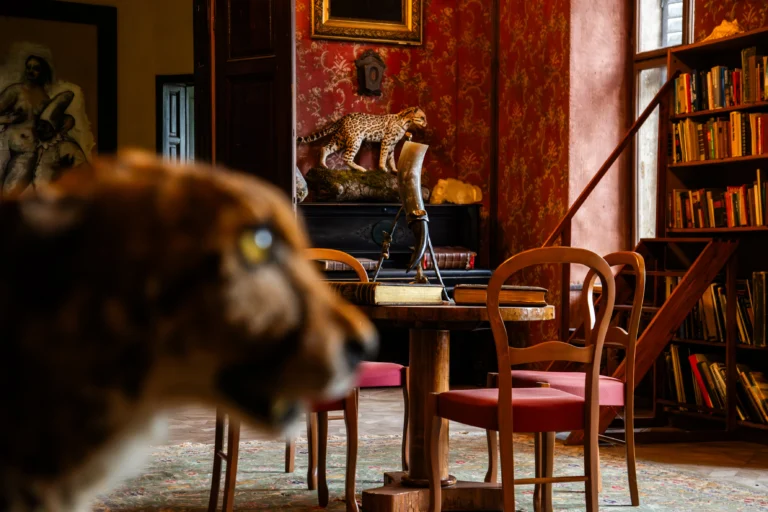 Ordination im Schloss Emmersdorf